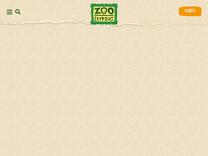 Arrau-Schienenschildkröte: Im Zoo Leipzig hautnah erleben