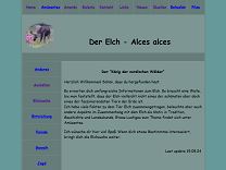 Elch - Alces alces: Anderes: Trakehner